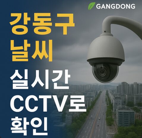 강동구 날씨 실시간 cctv 확인