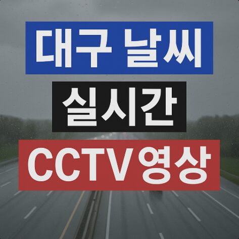 대구날씨실시간CCTV영상확인