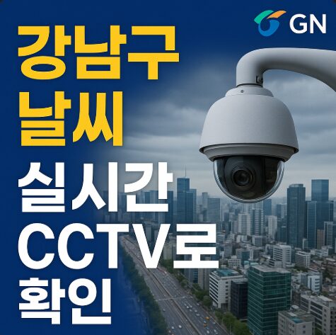 강남실시간날씨cctv