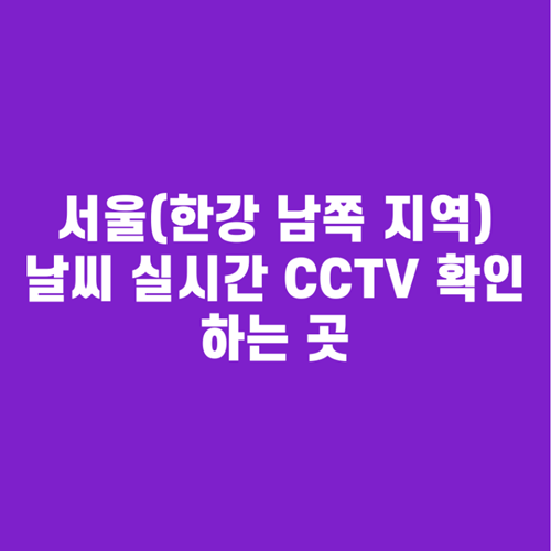서울날씨CCTV실시간확인(한강남쪽지역)