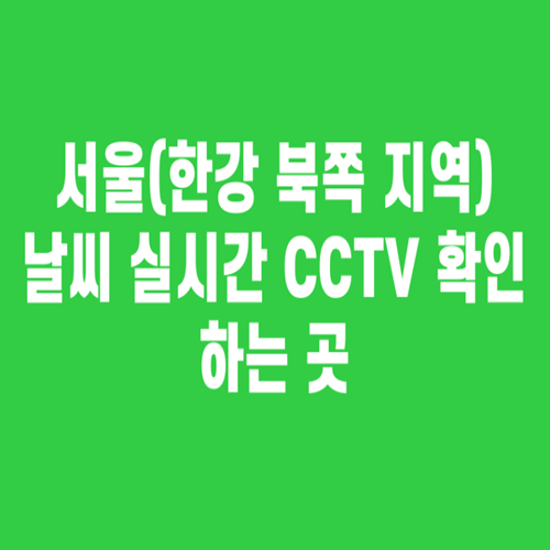 서울 날씨 실시간 CCTV 확인(한강 북쪽 지역)