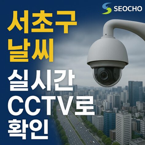 서초구실시간날씨cctv