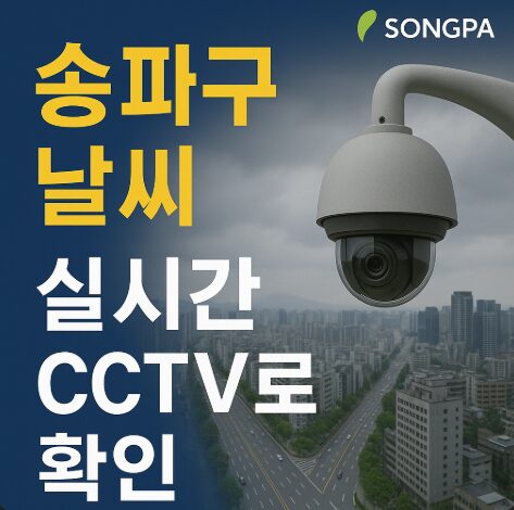 송파구 날씨 실시간 cctv확인