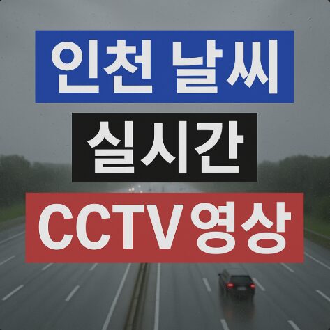 인천날씨실시간CCTV정보